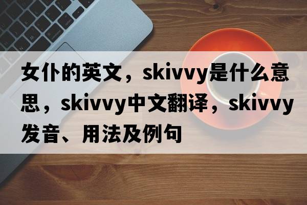 女仆的英文，skivvy是什么意思，skivvy中文翻譯，skivvy發(fā)音、用法及例句
