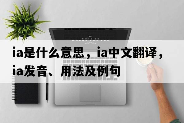 IA是什么意思，IA中文翻譯，IA發(fā)音、用法及例句
