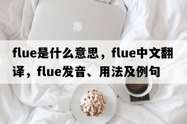 flue是什么意思，flue中文翻譯，flue發(fā)音、用法及例句