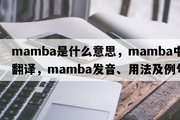 mamba是什么意思，mamba中文翻譯，mamba發(fā)音、用法及例句