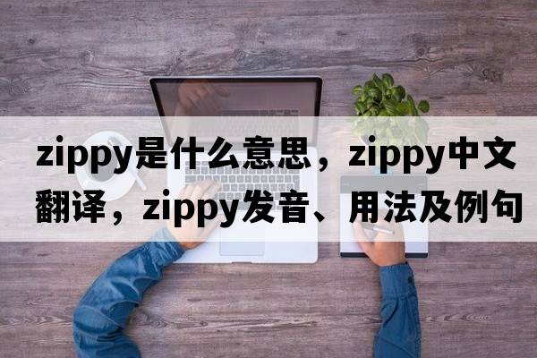 zippy是什么意思，zippy中文翻譯，zippy發(fā)音、用法及例句