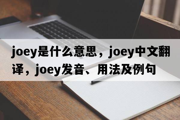 joey是什么意思，joey中文翻譯，joey發(fā)音、用法及例句