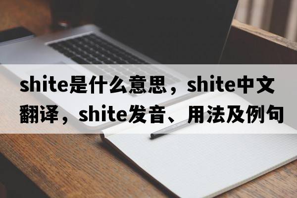 shite是什么意思，shite中文翻譯，shite發(fā)音、用法及例句