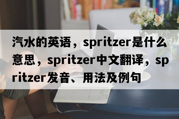 汽水的英語(yǔ)，spritzer是什么意思，spritzer中文翻譯，spritzer發(fā)音、用法及例句