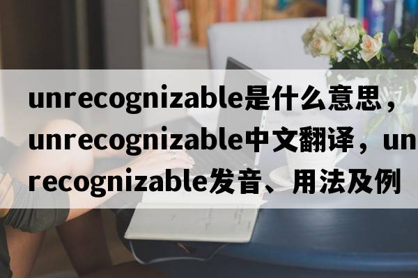 unrecognizable是什么意思，unrecognizable中文翻譯，unrecognizable發(fā)音、用法及例句