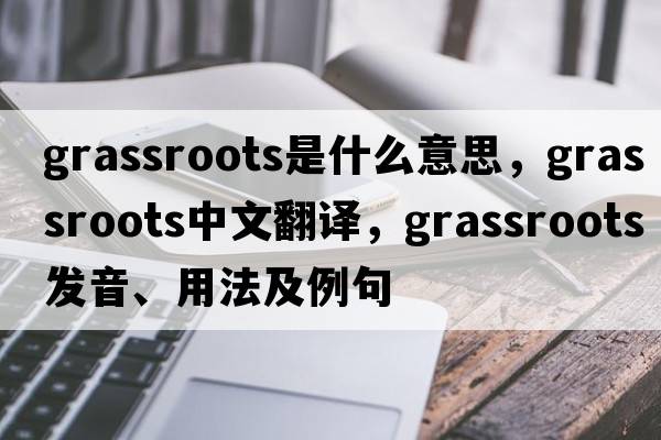 grassroots是什么意思，grassroots中文翻譯，grassroots發(fā)音、用法及例句