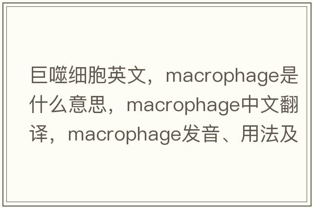 巨噬細胞英文，macrophage是什么意思，macrophage中文翻譯，macrophage發(fā)音、用法及例句