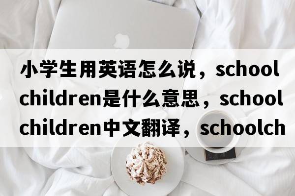 小學(xué)生用英語(yǔ)怎么說(shuō)，schoolchildren是什么意思，schoolchildren中文翻譯，schoolchildren發(fā)音、用法及例句