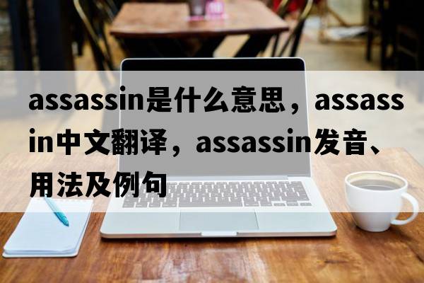 assassin是什么意思，assassin中文翻譯，assassin發(fā)音、用法及例句