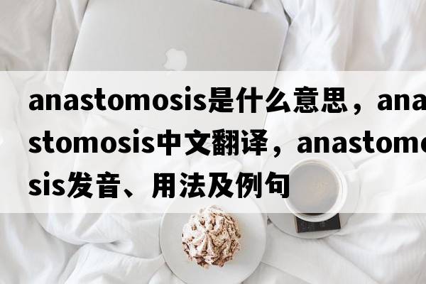 anastomosis是什么意思，anastomosis中文翻譯，anastomosis發(fā)音、用法及例句