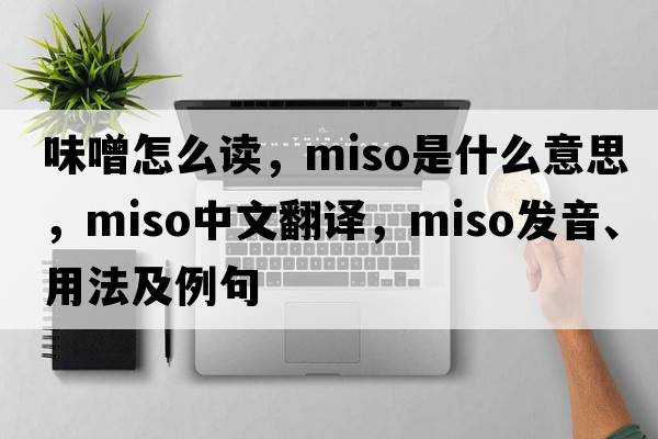味噌怎么讀，miso是什么意思，miso中文翻譯，miso發(fā)音、用法及例句