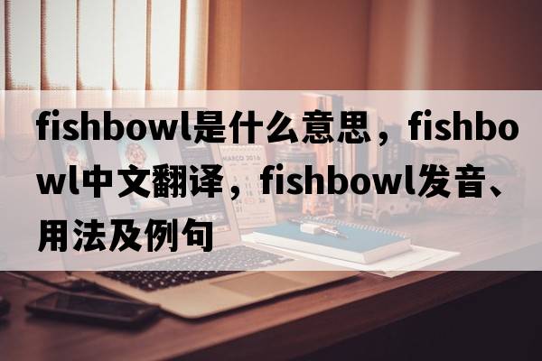 fishbowl是什么意思，fishbowl中文翻譯，fishbowl發(fā)音、用法及例句