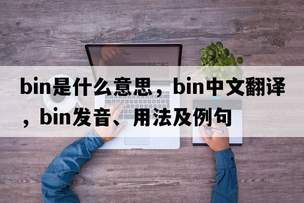 bin是什么意思，bin中文翻譯，bin發(fā)音、用法及例句