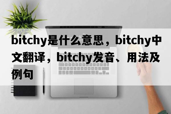 bitchy是什么意思，bitchy中文翻譯，bitchy發(fā)音、用法及例句
