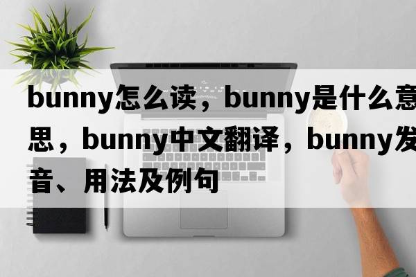 bunny怎么讀，bunny是什么意思，bunny中文翻譯，bunny發(fā)音、用法及例句