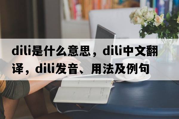 dili是什么意思，dili中文翻譯，dili發(fā)音、用法及例句