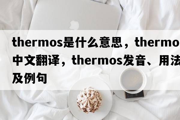 thermos是什么意思，thermos中文翻譯，thermos發(fā)音、用法及例句