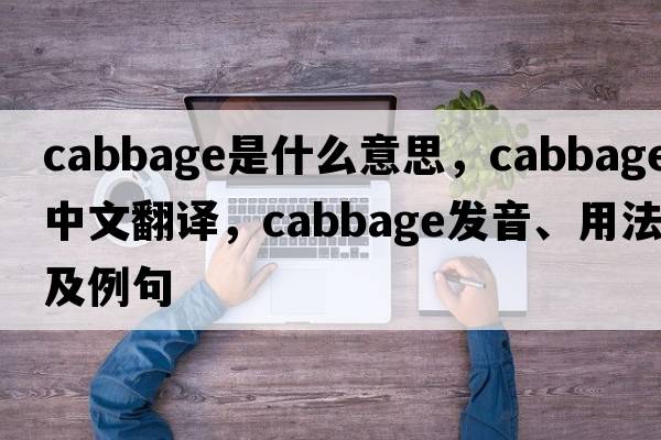cabbage是什么意思，cabbage中文翻譯，cabbage發(fā)音、用法及例句