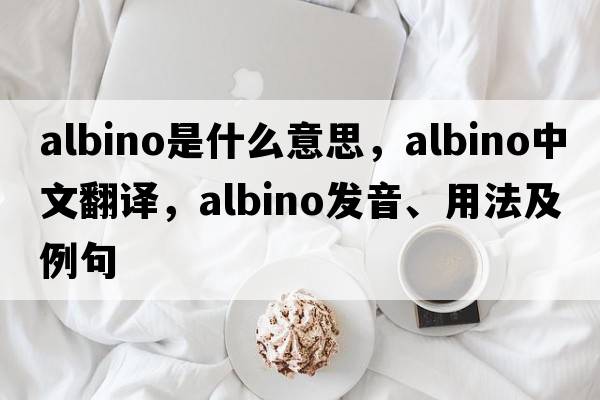 albino是什么意思，albino中文翻譯，albino發(fā)音、用法及例句
