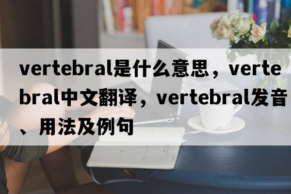 vertebral是什么意思，vertebral中文翻譯，vertebral發(fā)音、用法及例句