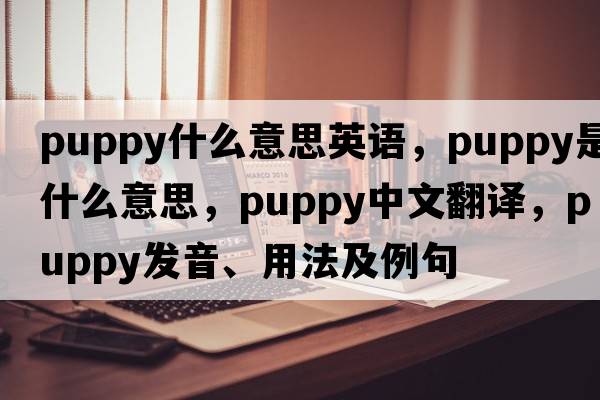 puppy什么意思英語(yǔ)，puppy是什么意思，puppy中文翻譯，puppy發(fā)音、用法及例句