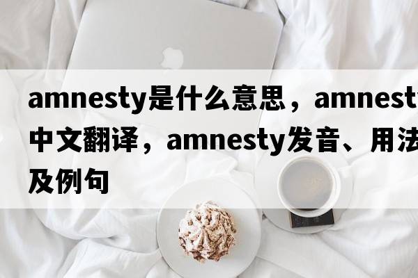 amnesty是什么意思，amnesty中文翻譯，amnesty發(fā)音、用法及例句
