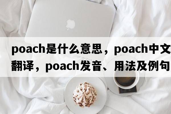 poach是什么意思，poach中文翻譯，poach發(fā)音、用法及例句