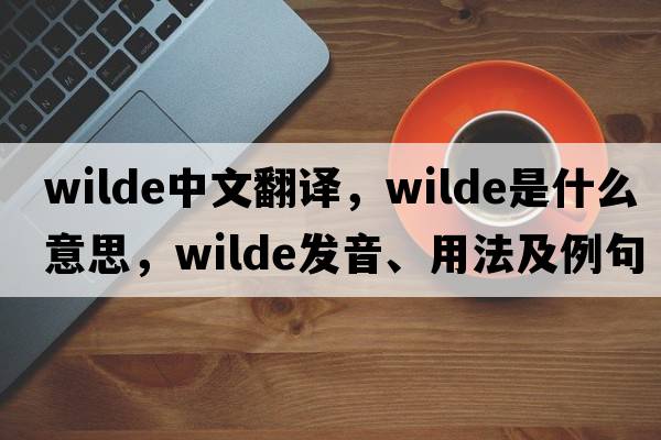 wilde中文翻譯，wilde是什么意思，wilde發(fā)音、用法及例句