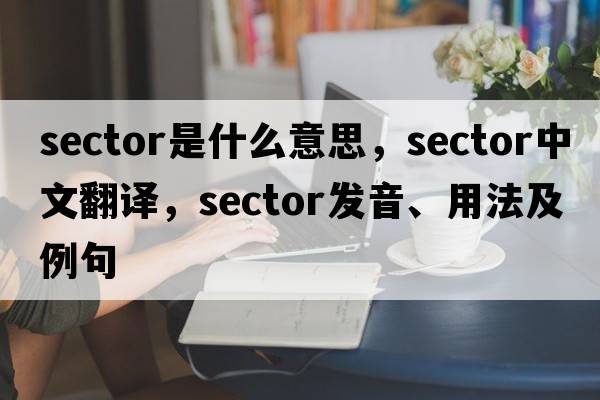sector是什么意思，sector中文翻譯，sector發(fā)音、用法及例句