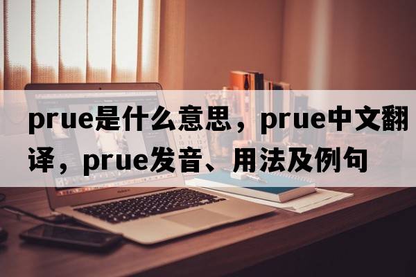Prue是什么意思，Prue中文翻譯，Prue發(fā)音、用法及例句