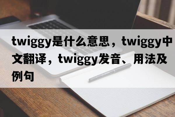 twiggy是什么意思，twiggy中文翻譯，twiggy發(fā)音、用法及例句