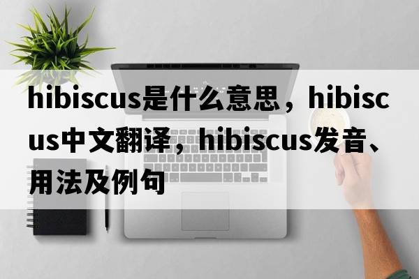 hibiscus是什么意思，hibiscus中文翻譯，hibiscus發(fā)音、用法及例句