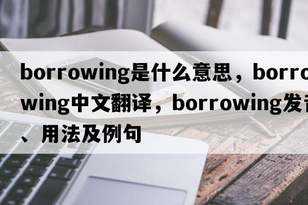 borrowing是什么意思，borrowing中文翻譯，borrowing發(fā)音、用法及例句