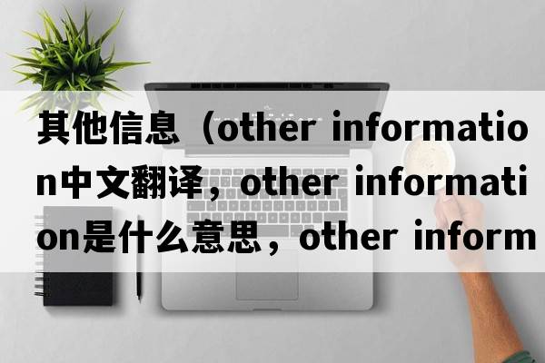 其他信息（other information中文翻譯，other information是什么意思，other information發(fā)音、用法及例句）