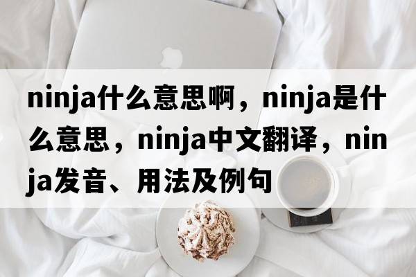 ninja什么意思啊，ninja是什么意思，ninja中文翻譯，ninja發(fā)音、用法及例句