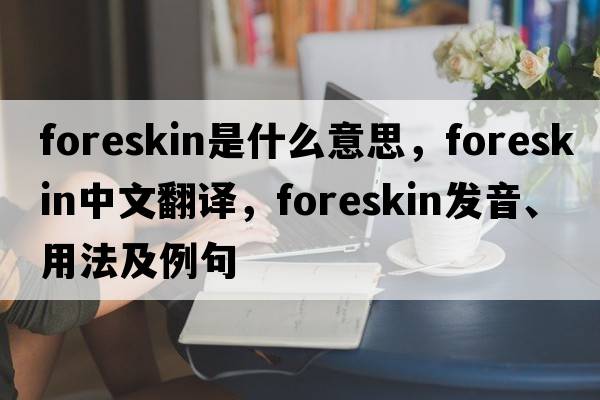 foreskin是什么意思，foreskin中文翻譯，foreskin發(fā)音、用法及例句