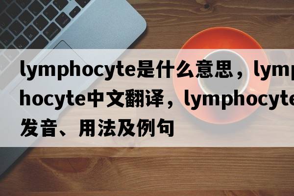 lymphocyte是什么意思，lymphocyte中文翻譯，lymphocyte發(fā)音、用法及例句