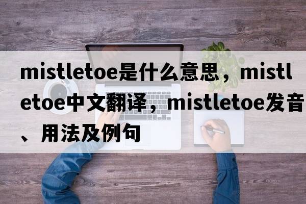 mistletoe是什么意思，mistletoe中文翻譯，mistletoe發(fā)音、用法及例句