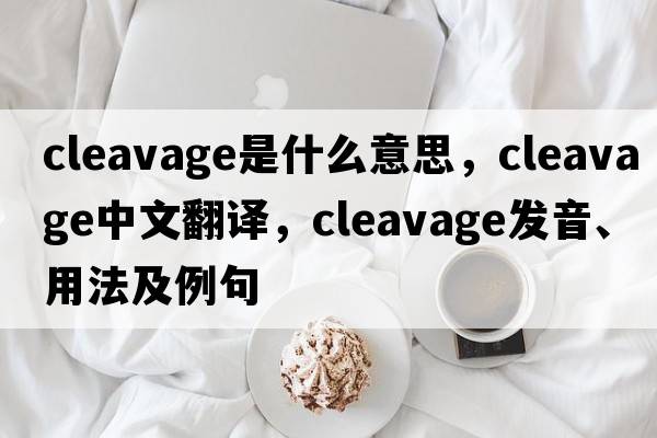 cleavage是什么意思，cleavage中文翻譯，cleavage發(fā)音、用法及例句