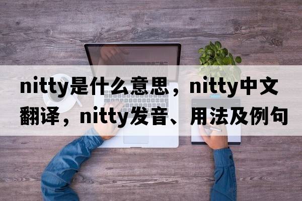 nitty是什么意思，nitty中文翻譯，nitty發(fā)音、用法及例句