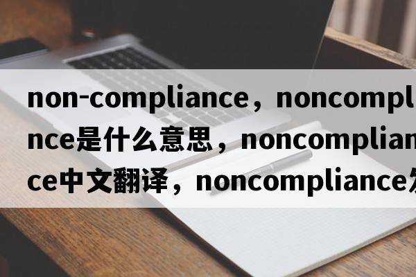 non-compliance，noncompliance是什么意思，noncompliance中文翻譯，noncompliance發(fā)音、用法及例句