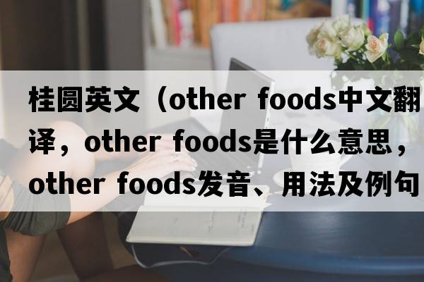 桂圓英文（other foods中文翻譯，other foods是什么意思，other foods發(fā)音、用法及例句）