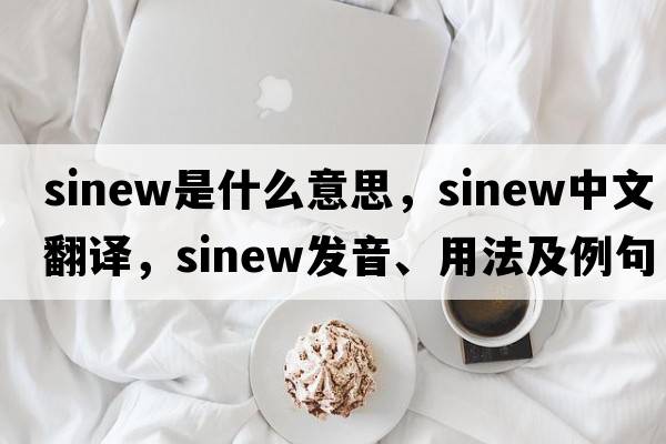 sinew是什么意思，sinew中文翻譯，sinew發(fā)音、用法及例句