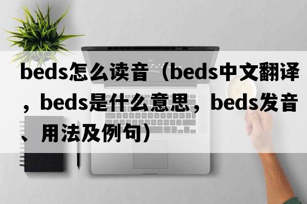 beds怎么讀音（beds中文翻譯，beds是什么意思，beds發(fā)音、用法及例句）