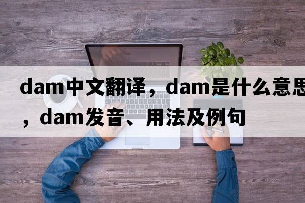 dam中文翻譯，dam是什么意思，dam發(fā)音、用法及例句