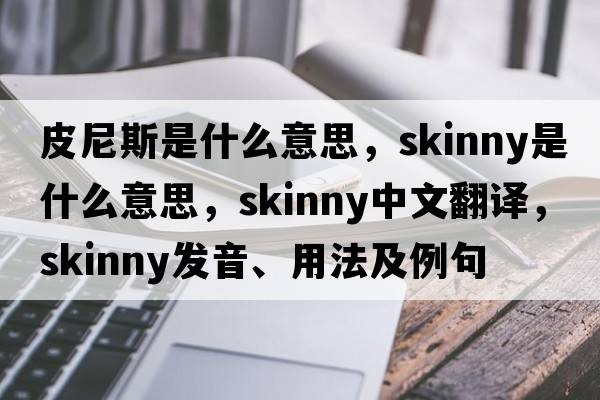 皮尼斯是什么意思，skinny是什么意思，skinny中文翻譯，skinny發(fā)音、用法及例句
