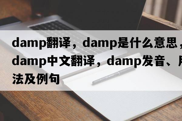 damp翻譯，damp是什么意思，damp中文翻譯，damp發(fā)音、用法及例句