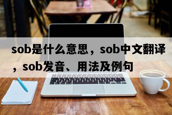 sob是什么意思，sob中文翻譯，sob發(fā)音、用法及例句