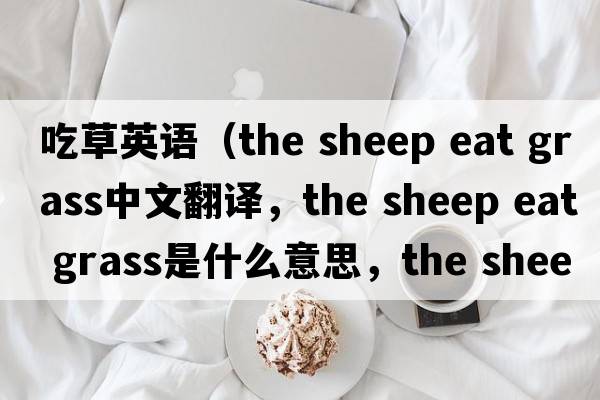 吃草英語(yǔ)（the sheep eat grass中文翻譯，the sheep eat grass是什么意思，the sheep eat grass發(fā)音、用法及例句）