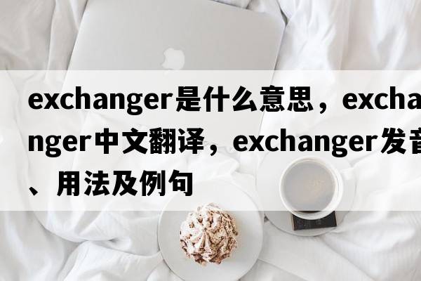 exchanger是什么意思，exchanger中文翻譯，exchanger發(fā)音、用法及例句